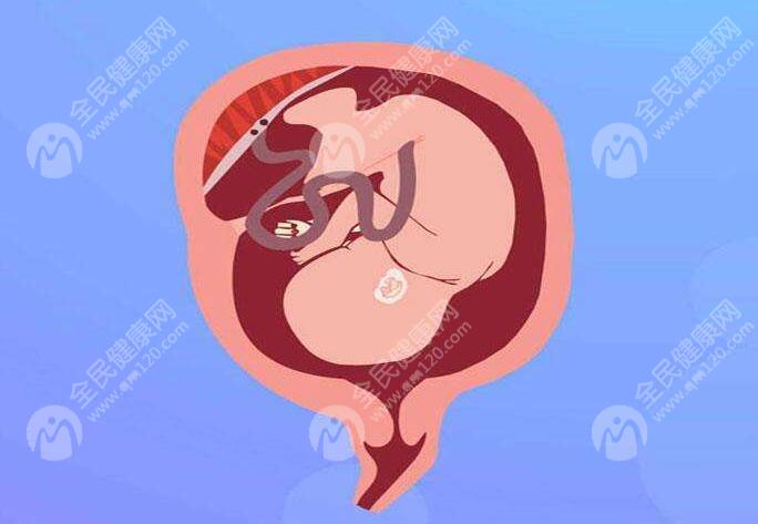 宜昌中心医院试管二代成功率多少！宜昌市中心医院做试管婴儿成功率高吗?！