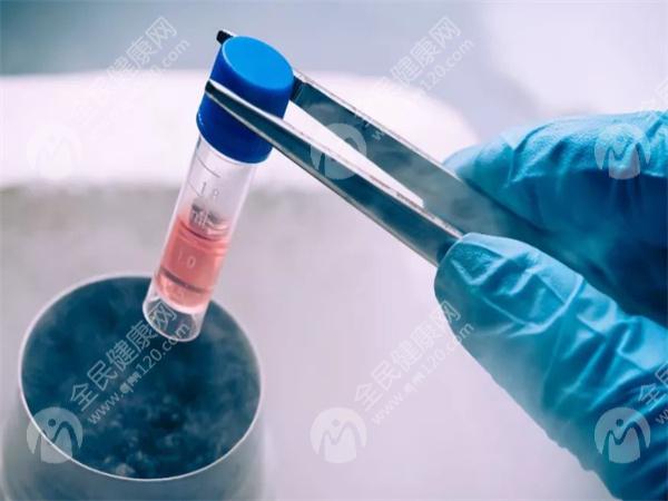 2025年在阿拉尔市做高龄试管婴儿的成功率有多少？高龄试管婴儿有哪些注意事项？