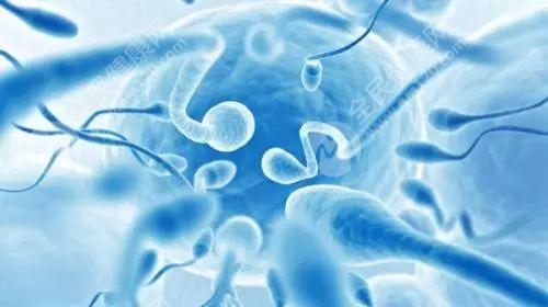 海口做试管较好的是哪家医院 海口试管婴儿费用大约多少2025年！