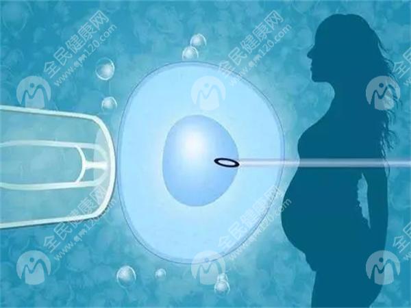2025年在延安市做试管生孩子要多少钱？延安市试管婴儿技术水平如何？