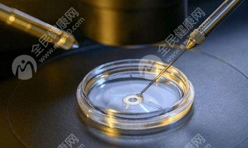 南京试管婴儿**的医院有哪家-南京试管婴儿医院排名较好！