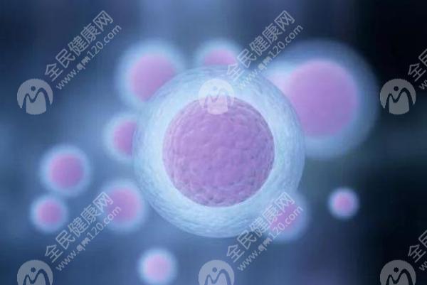 2025年成都市助孕生个孩子什么价格！成都生孩子有哪些 ！