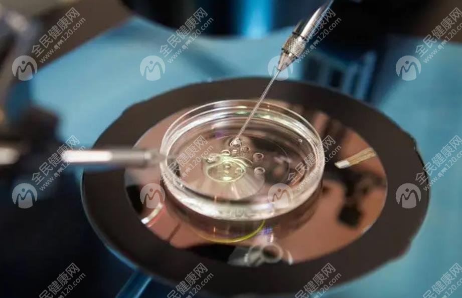 2025青岛出了名的专业试管机构都在哪？广大群众力推这几家