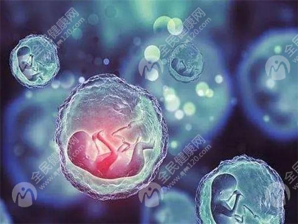 黄石中心医院做试管要多少钱？费用明细是怎么样的
