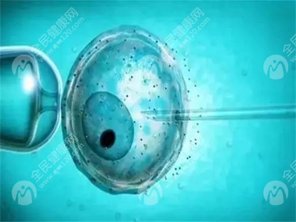 天津一中心医院生殖科试管婴儿怀孕成功率怎么样？