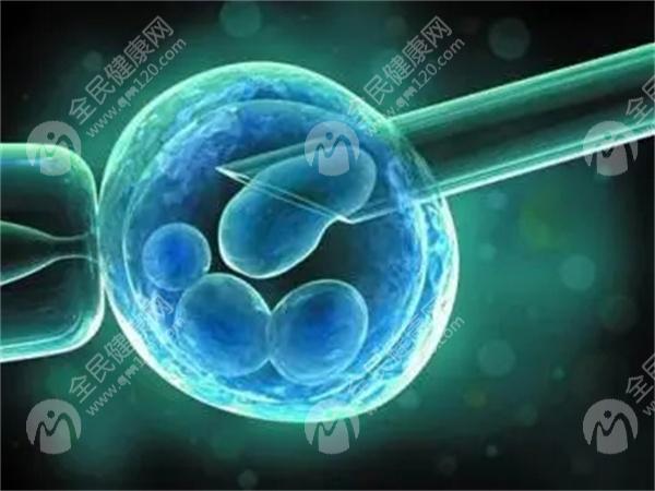 做试管婴儿要多少钱？做试管婴儿要多久才能成功？