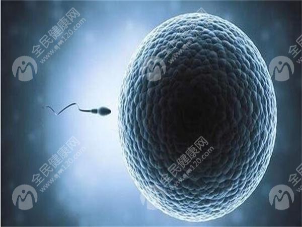 上海较好的试管婴儿上海第一妇幼保健院成功率有多高？