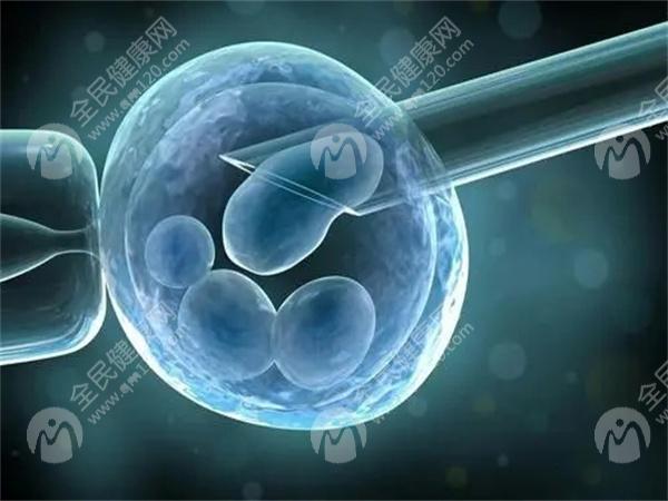 绵阳中心医院做三代试管婴儿费用多少？收费标准已公布！
