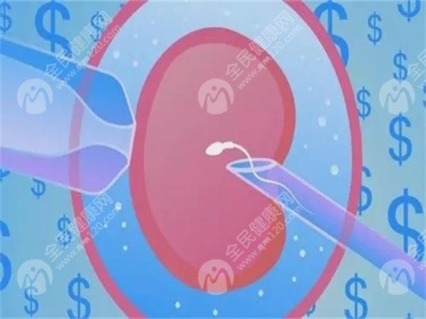 潍坊妇幼保健院助孕技术分别是多少钱？网友分享试管婴儿花费明细