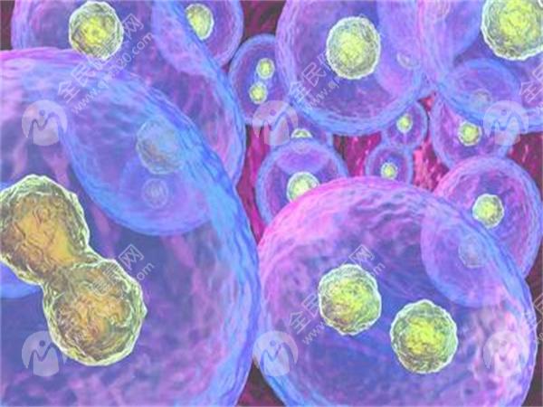 2025周口市中心医院试管婴儿费用明细分享，内附试管成功率及医生介绍