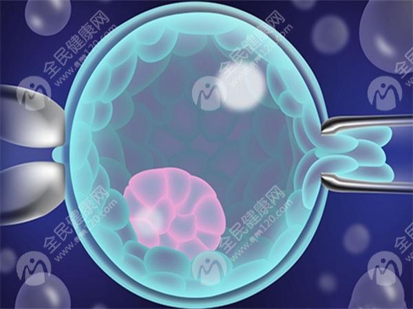 没有结婚证可以在温州医科大学附属第一医院做试管吗？内附试管费用及成功率一览