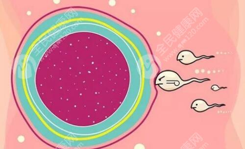 重庆做试管婴儿的费用大概是多少？