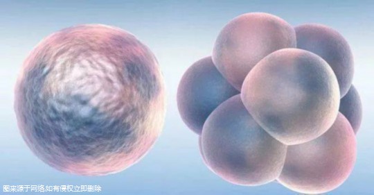 试管二胎冻胚需要检查什么？二胎冻胚移植要检查哪些项目？