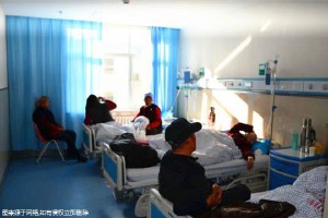 推荐去美国做试管助孕价格一般要多少钱?
