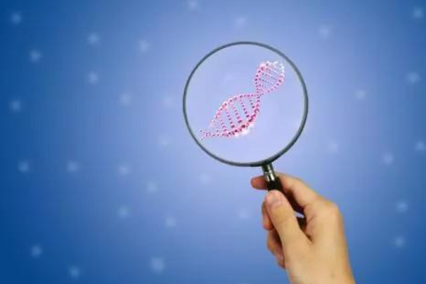 50岁女人可以通过试管生孩子