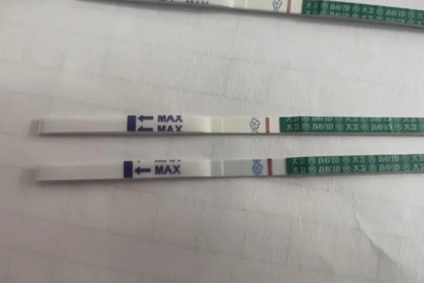 移植7天后可以用试纸测怀孕