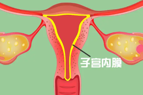 子宫内膜不到8mm内膜太薄还要继续试管移植吗？