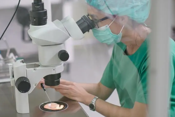 PGT技术主要检查胚胎是否有遗传病