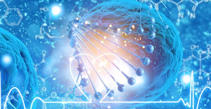 怎样通过试管婴儿精子 分离技术实现筛**