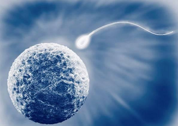 2025年梅毒患者在郑州大学第二附属医院做三代试管的费用高吗？费用明细是怎么样的