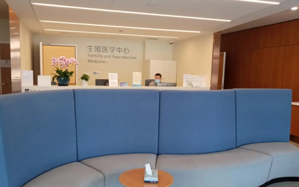 2025年去拉拉美国洛杉矶做试管的成功率高吗？试管成功率分析