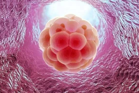 2025年无结婚证在上海国际医学中心做三代试管的成功率有多高？影响因素有哪些