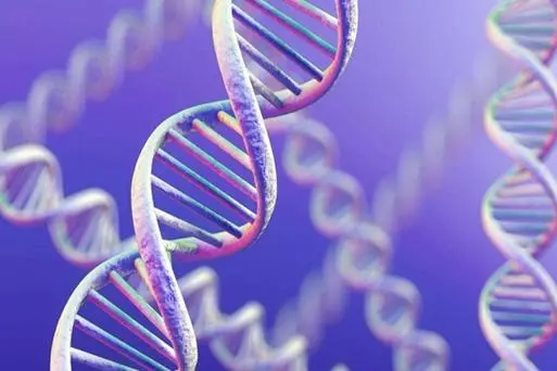 2025年子宫内膜癌前病变在泉州做三代试管要花费多少钱？费用明细是怎么样的