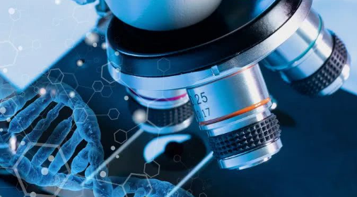 2025年磷脂抗体阳性在泉州做三代试管要花费多少钱？费用明细是怎么样的