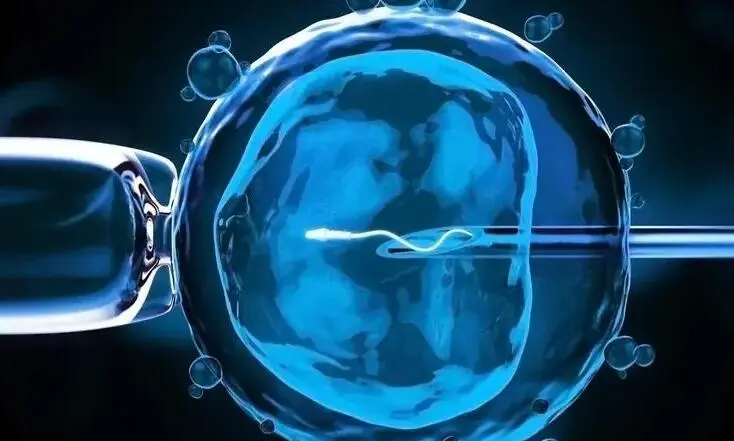 2025年未婚单身前往荆门市第二人民医院做试管要准备多少钱？十五万够吗