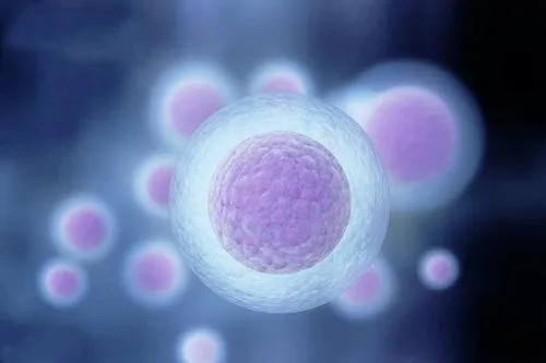 楚雄男性弱精赴海南试管攻略：单精子注射（ICSI）费用/流程全解