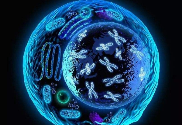 2025年卵巢早衰患者必存！常州试管全流程缩短至45天实操攻略