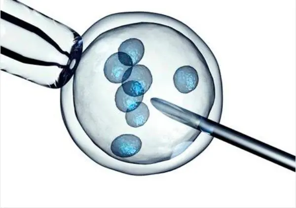 2025年梅毒患者在郑州大学第一附属医院做三代试管的费用高吗？费用明细是怎么样的