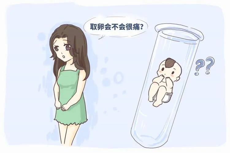 单身去衡水做三代试管的费用很高吗？大概需要花费多少钱