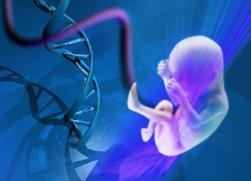 2025年无结婚证在博鳌国际医院生殖中心做三代试管的费用高吗？费用详细介绍