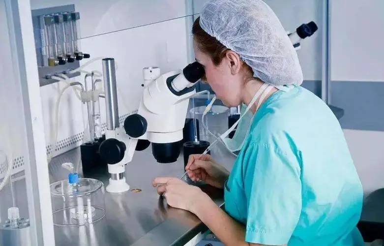 2025年乌克兰第三代试管婴儿年周期统计数据如何 内附优势与成功案例
