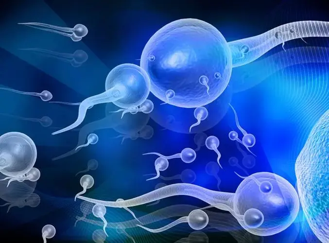 2025年直接去俄罗斯医院做试管婴儿可以吗解析选择俄罗斯的主要原因