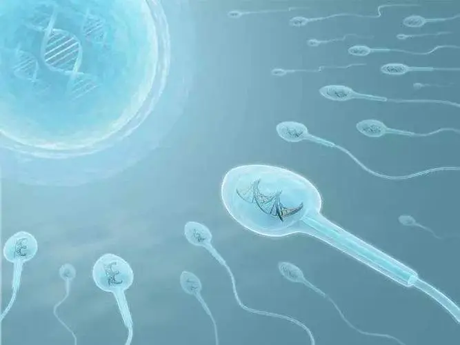 男方弱精症只有d级和c级*能做二代试管助孕吗先治疗再试管效果佳