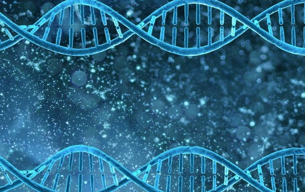 2025年卵巢早衰影响试管成功率？洛阳专家解析提升策略