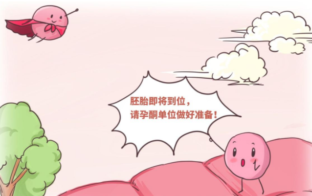 2025年未婚单身前往常德市第一人民医院做试管要准备多少钱？十五万够吗