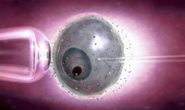 2025年卵巢早衰去合肥做三代试管的成功率高吗？附成功案例分享