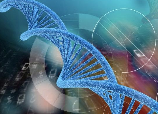 2025年无结婚证在贵州省人民医院做三代试管的成功率有多高？影响因素有哪些