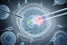 全福建试管**的医院的成功率如何