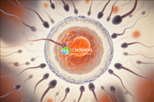 37岁能做试管婴儿吗？女性做试管婴儿必备的条件有哪些