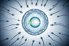 精子活性低可以在上海市第六生殖医院做试管婴儿吗？成功率高吗？