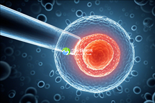 上海单身女性做人工授精试管婴儿(IVF-D)费用多少？具体明细介绍