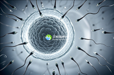 皇家生殖遗传医院的精子处理技术，如何确保试管婴儿治疗成功？