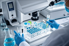 2025年精子畸形去美国做试管的详细流程是怎么样的？
