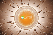 更好三代试管婴儿医院一个专业的希望之地