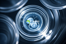 做试管老公不配合怎么办？精子异常才能使用自己精子