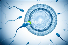 广西区妇幼第三代试管婴儿可以生孩子吗(广西试管婴儿条件如何申请)